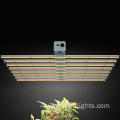 1000W Led Grow Light Plants From Underneath